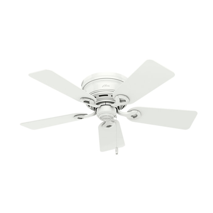 Hunter Fan 42'' Conroy 5 Blade Flush Mount Ceiling Fan with Pull